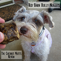 red barn bully nuggets review