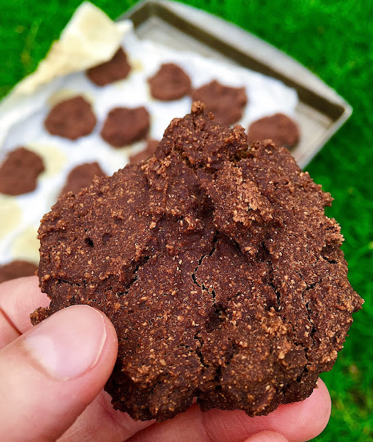 Gluten Free Chocolate Cookies with Quinoa Flour (Vegan)