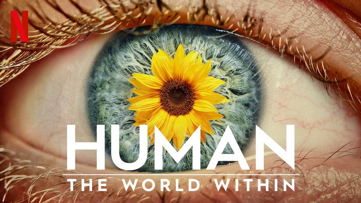 Netflix醫學紀錄片《人體大驚奇Human The World Within》：講述了人體的組成，討論了嚴肅的話題