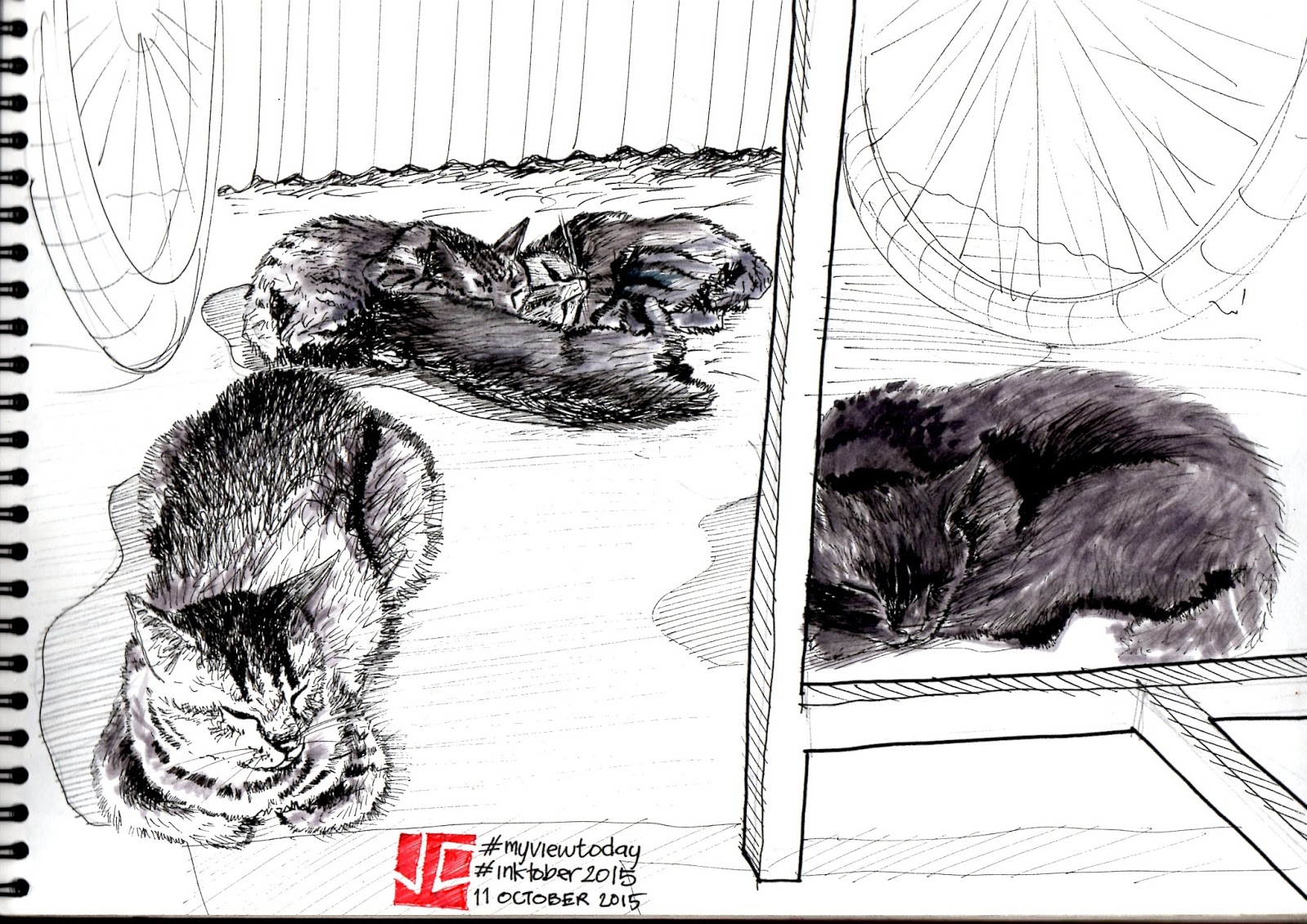 Gambar Sketsa Kucing Duduk