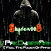 30+ Indian Sites Hacked by Shadow008 (PCA)