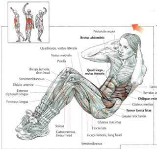 Rib Cage Muscles Exercises : What Are the Treatments for a Rib Muscle Injury ... / Strength training for walking in neurological conditions online course: