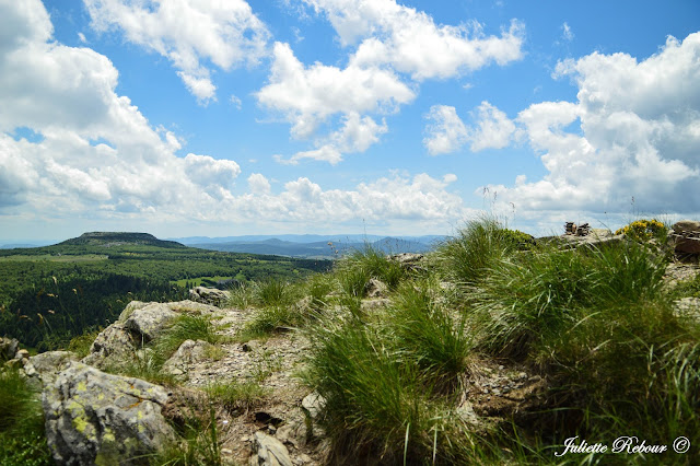 Randonnée au Mont Gerbier de Jonc