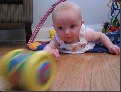 IMG_1609 IMG_1609