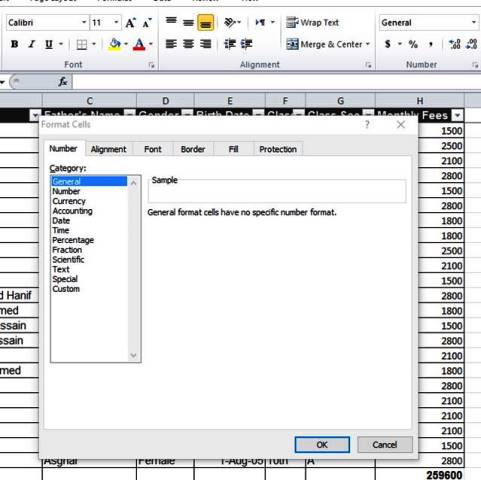 MS Excel, COUNT, COUNTA Formulas and Formatting Methods