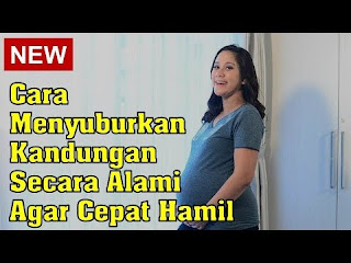 CARA MENYUBURKAN KANDUNGAN SECARA ALAMI AGAR CEPAT HAMIL