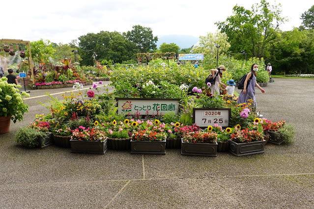 鳥取県西伯郡南部町鶴田　とっとり花回廊　エントランス展示