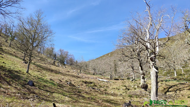 Zona alta del Valle de Piedrafita