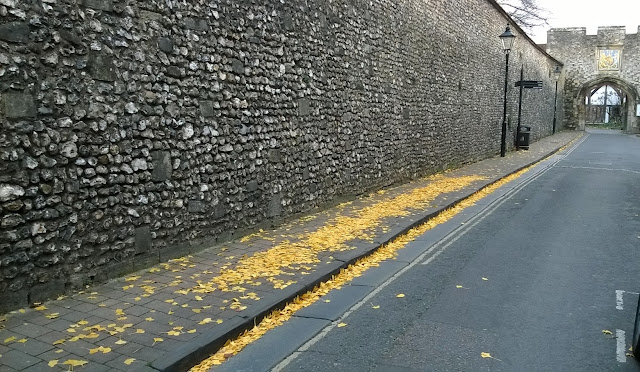 Tina's Allsorts, Ginkgo Leaves