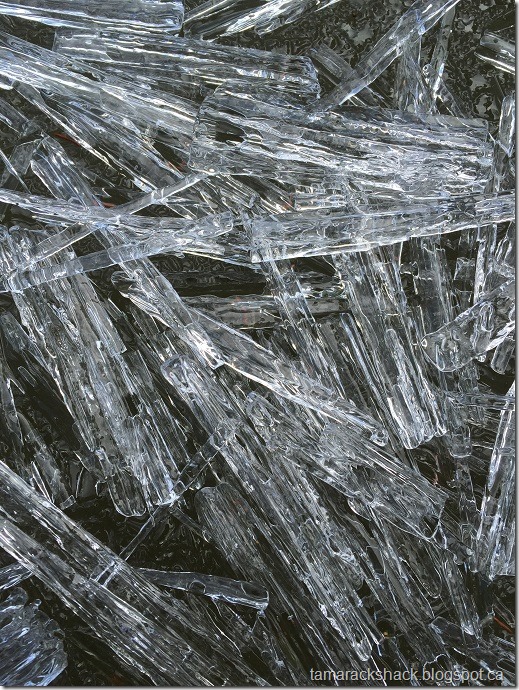ice1
