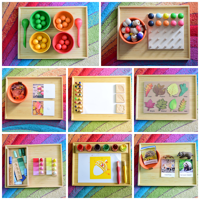 Autumn Themed Activity Trays for 2 years Old