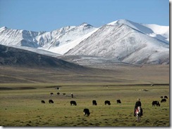 Tibet3