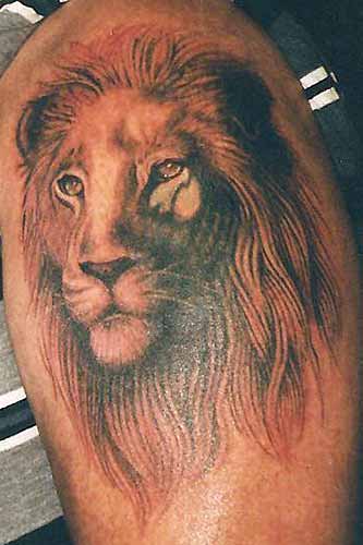 lion tattoos