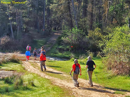 Arribant al gual de la Riera de Merola entre els termes de Viver i Serrateix i Puig-reig. Autor: Francesc "Caminaire"