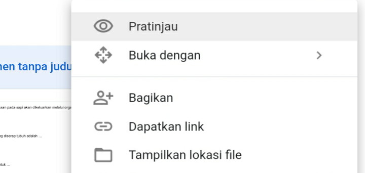 Google Drive Tidak Perlu Izin