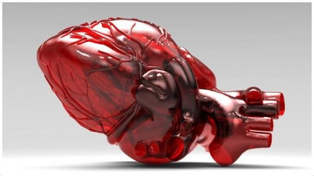 Apa itu Cangkok Jantung? Bagaimana tes dan prosedur cangkok jantung