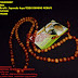 Mala Beads Neklace Kayu TESEK GUNUNG MERAPI Ukuran 108+8 mm