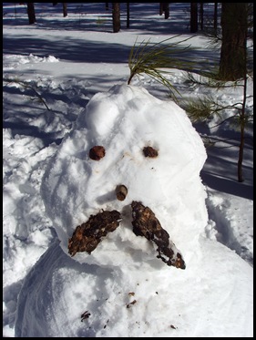 officer snowman