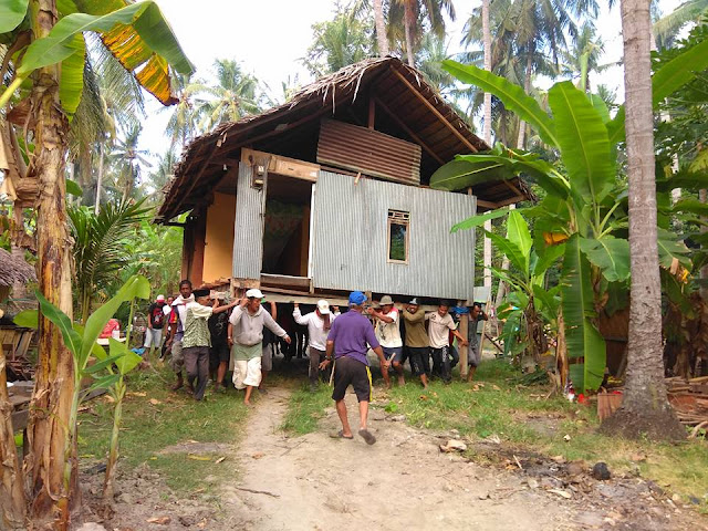 budaya memindahkan rumah panggung suku mandar sulawesi barat