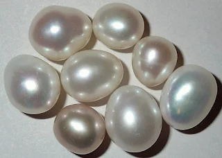 Pearl Farming Potential for Farmers in India.