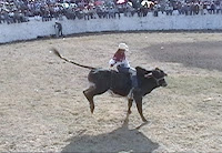 Asociación de Charros Mazamitla