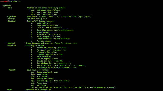 nikto options