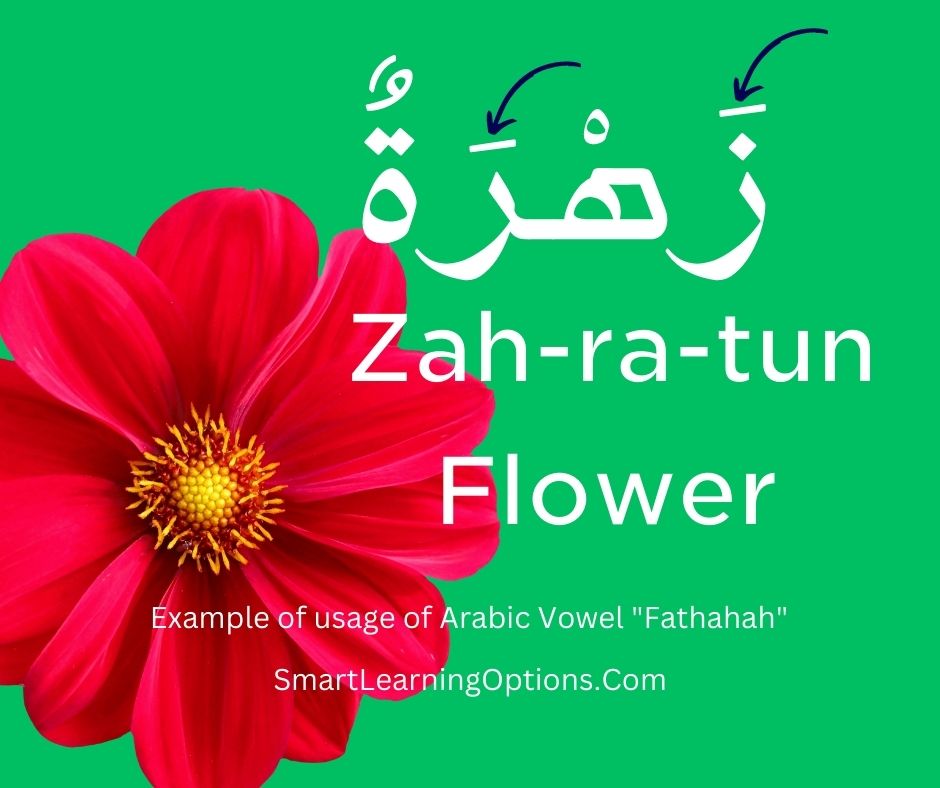 Arabic word "زَهرَةٌ" with Fathahah marked