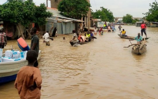 Flood destroys houses and properties in Kano state