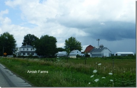 Amish Farms