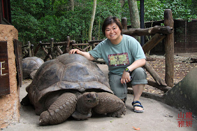 Giant Aldabra Tortoise: Animals That Never Die