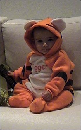 tigre4