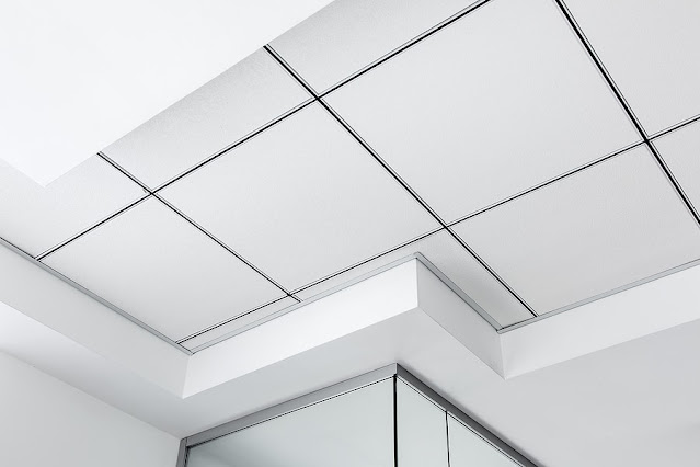 Acoustic Ceilings