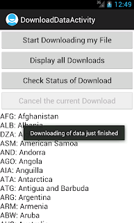 Android DownloadManager download successful