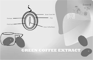 seed extract of green coffee