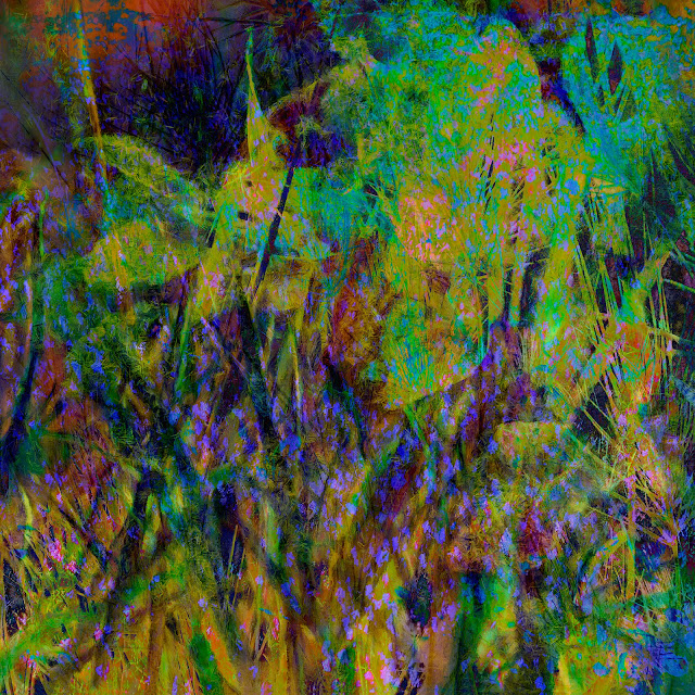 Mid-Summer Botanical Abstract