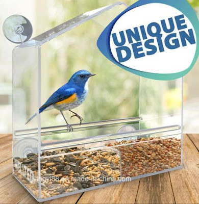 Wellted 2-in-1 Bird Feeder – The Best Value Feeder