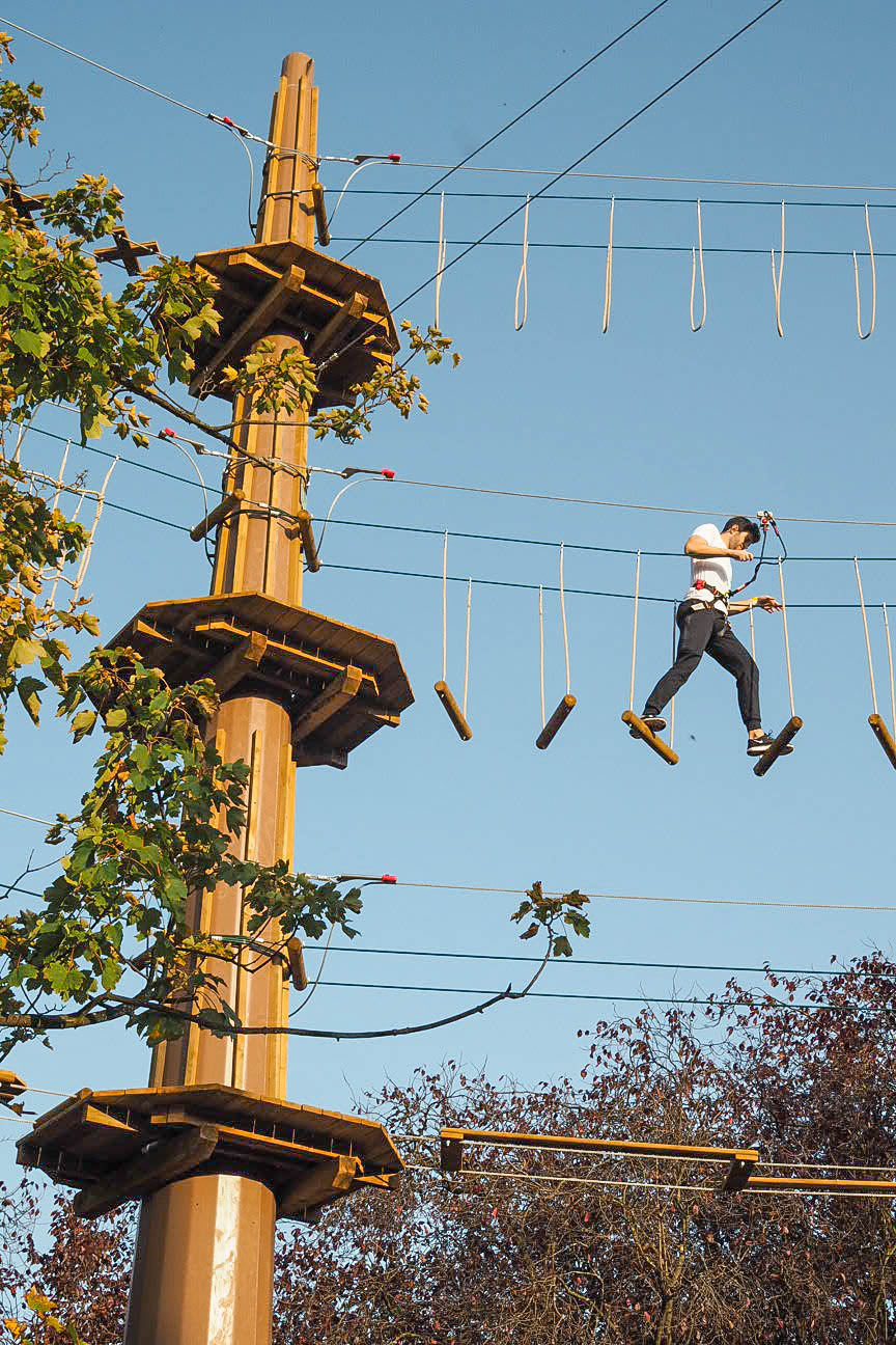A Treetop Adventure At Go Ape Alexandra Palace Charlie Distracted