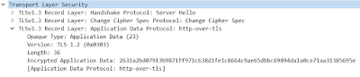 datos cifrados tls 1