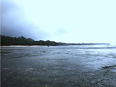 Beach From Bengkulu Tourism