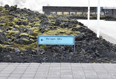 iceland, 冰島, blue lagoon, silica hotel