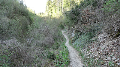 Wanderweg in der Schlucht