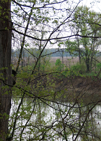 Land Acknowledgement