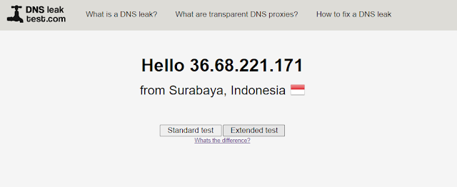 dnsleaktest.com