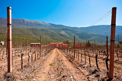 tenuta cataldi madonna ofena