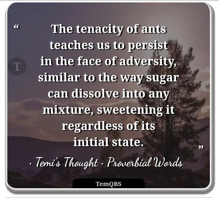 The tenacity of ants teaches us to persist in the face of adversity, similar to the way sugar can dissolve into any mixture, sweetening it regardless of its initial state - Temi's Thought: Wise Quote