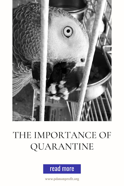The Importance of Quarantine