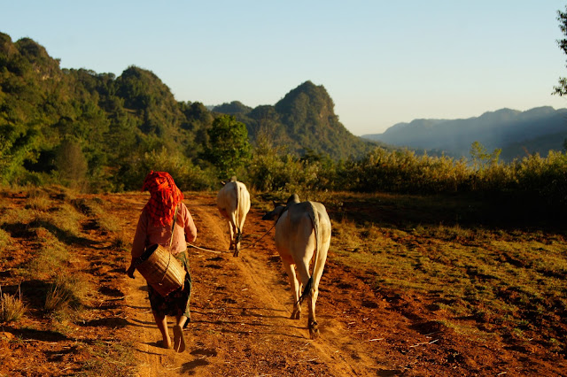 Noël entre Kalaw et le lac Inle