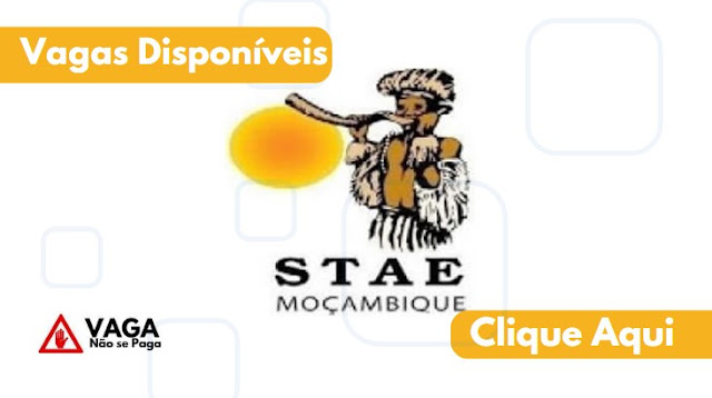 Vagas de Emprego STAE 2023