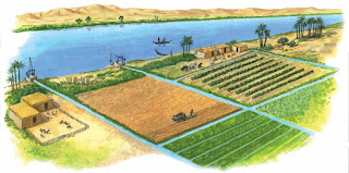 Resultado de imagen para los egipcios y la agricultura