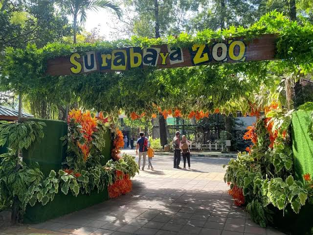 wisata di kebun binatang surabaya